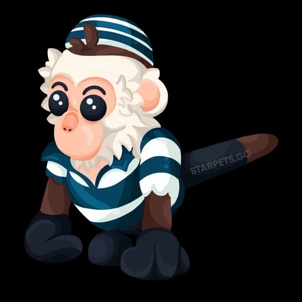 Inmate Capuchin Monkey