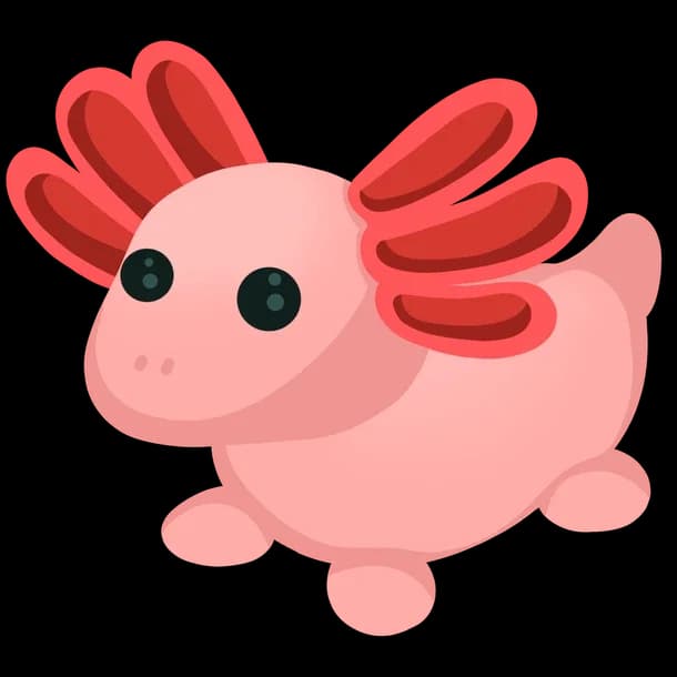 Axolotl