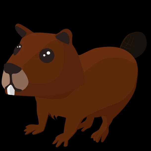 Beaver