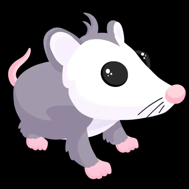 Possum