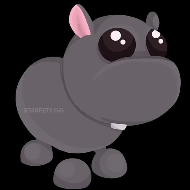 Hippo