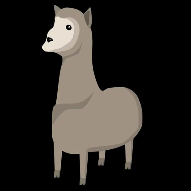Llama
