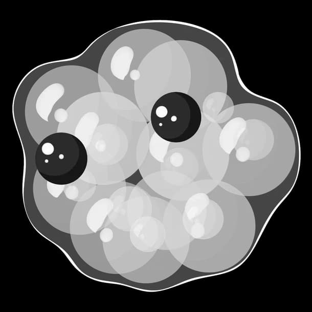 Frogspawn