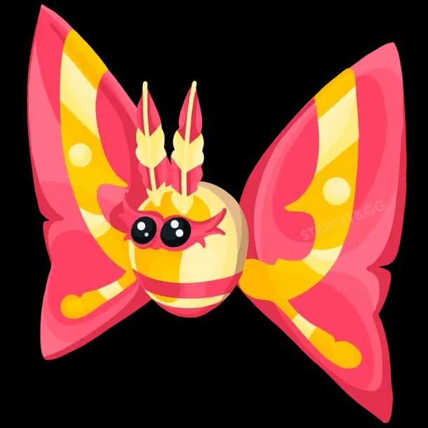 Rosy Maple Moth