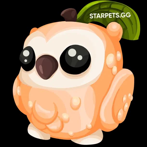Peach Owl