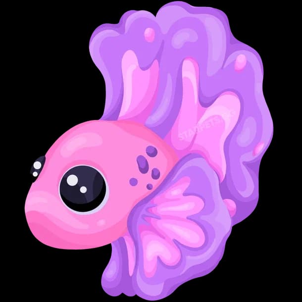 Pink Betta Fish