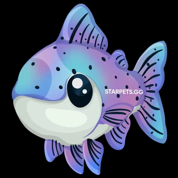Rainbow Trout