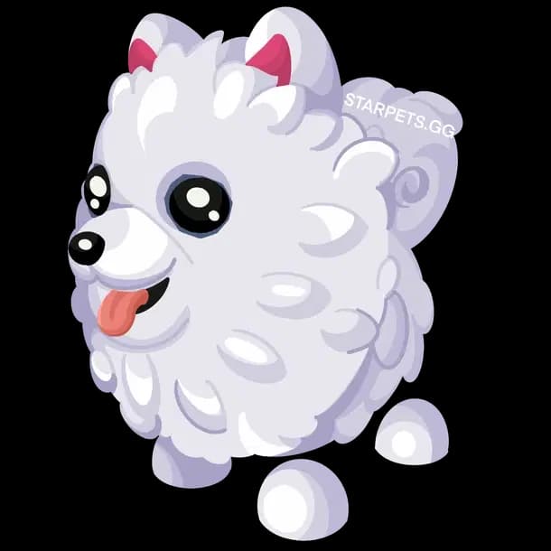 Samoyed