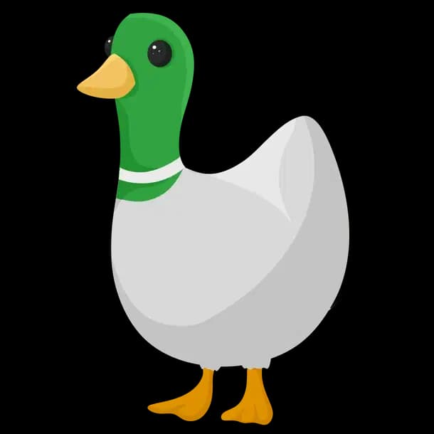 Silly Duck