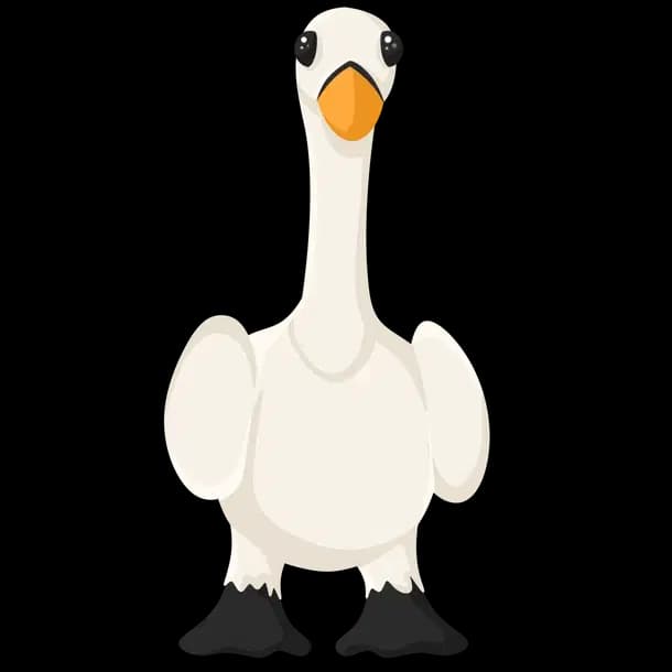 Swan