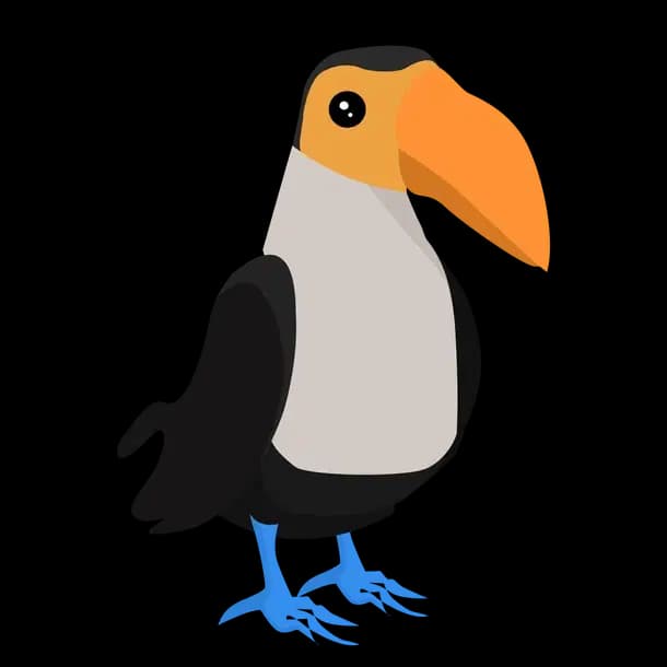 Toucan