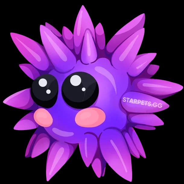 Urchin