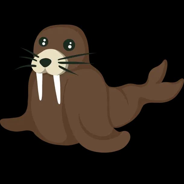 Walrus