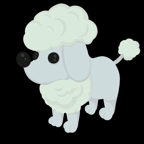 Poodle