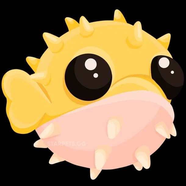 Puffer Fish