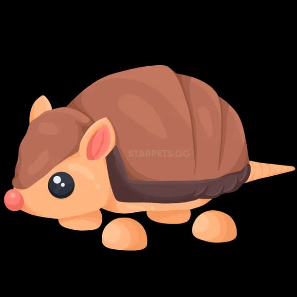 Armadillo