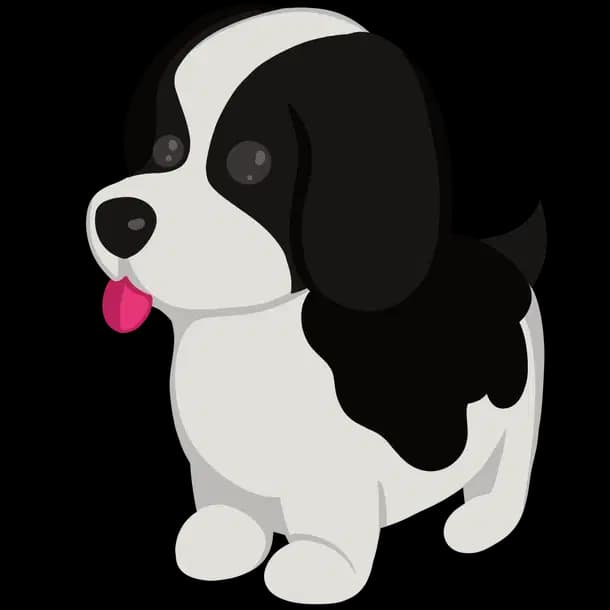 Black Springer Spaniel