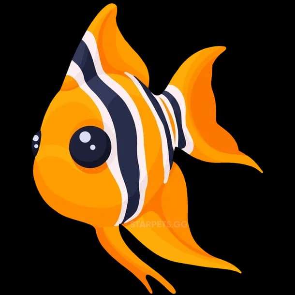 Angelfish