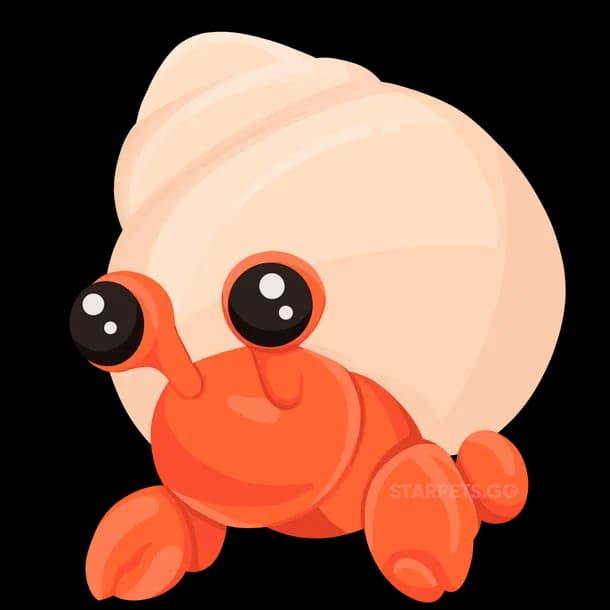 Hermit Crab