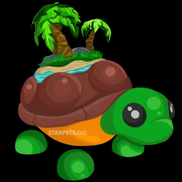 Tortuga de la Isla