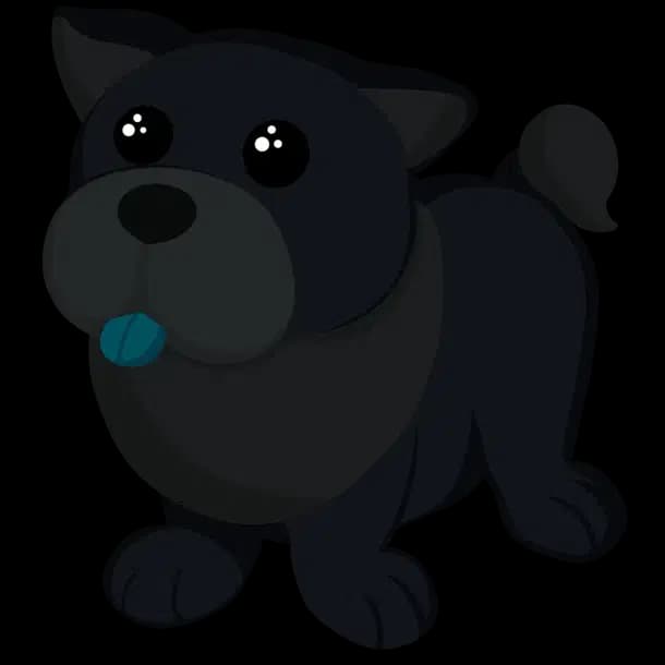 Black Chow-Chow