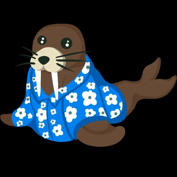 Summer Walrus