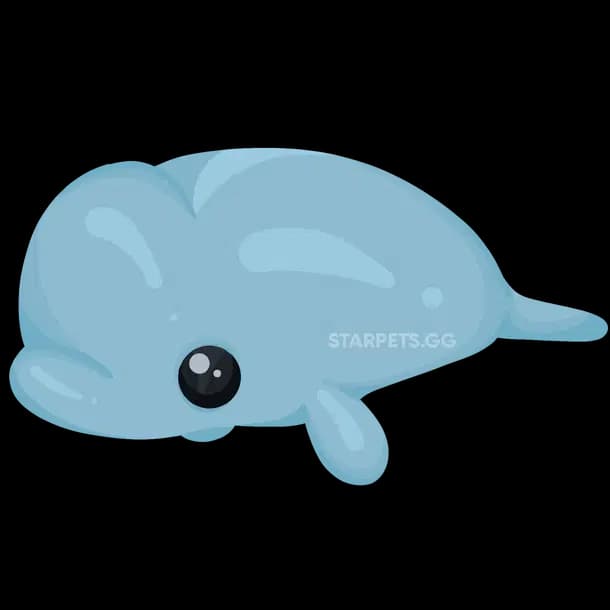 Beluga Whale