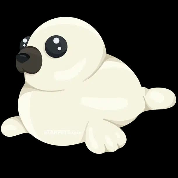 Harp Seal