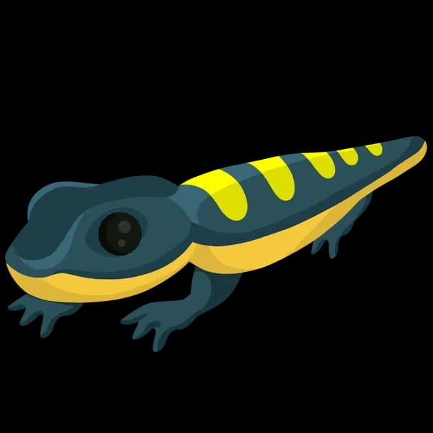 Salamander