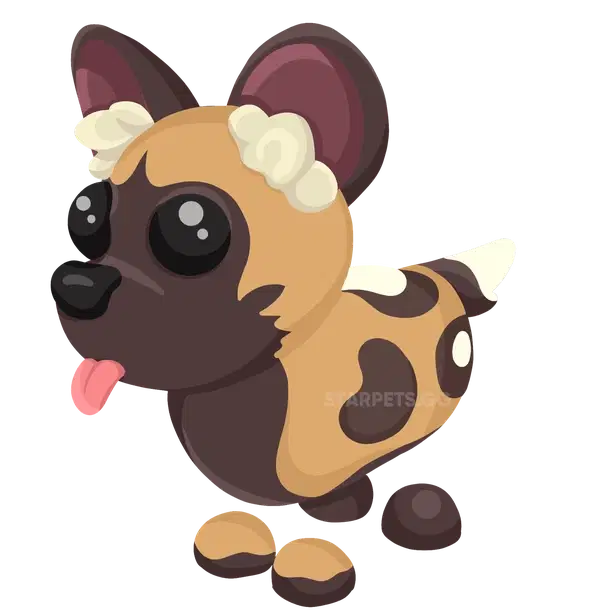 African Wild Dog