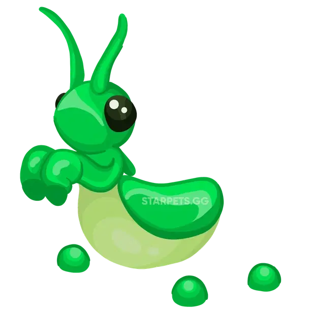 Praying Mantis