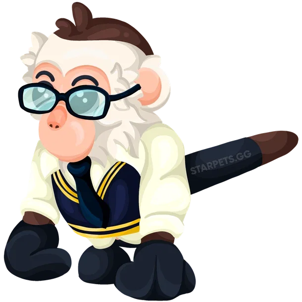 Preppy Capuchin Monkey