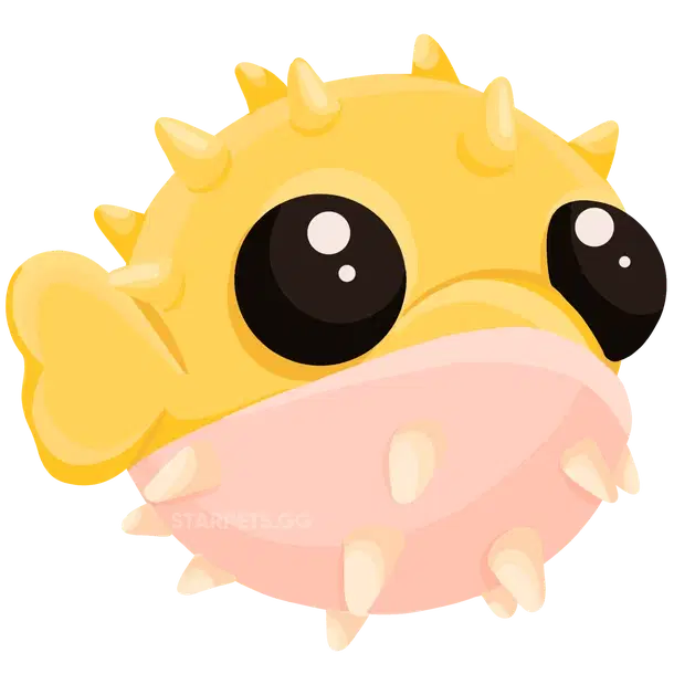 Puffer Fish