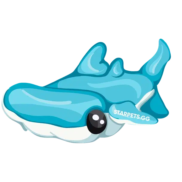 Hammerhead Shark