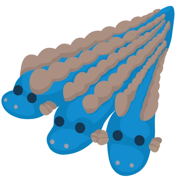 Hydra