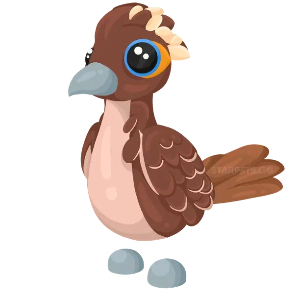 Roadrunner
