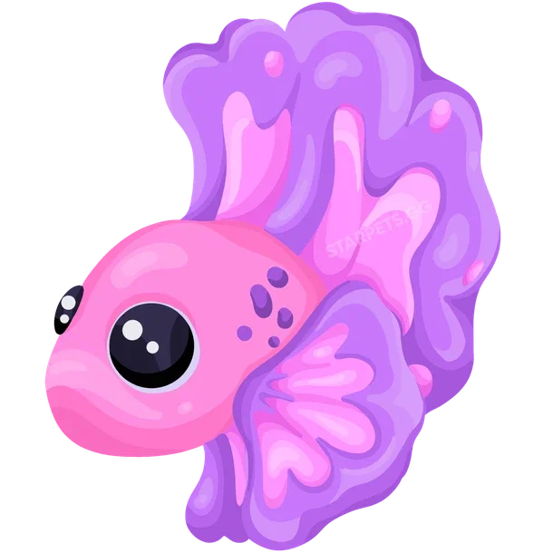 Pink Betta Fish
