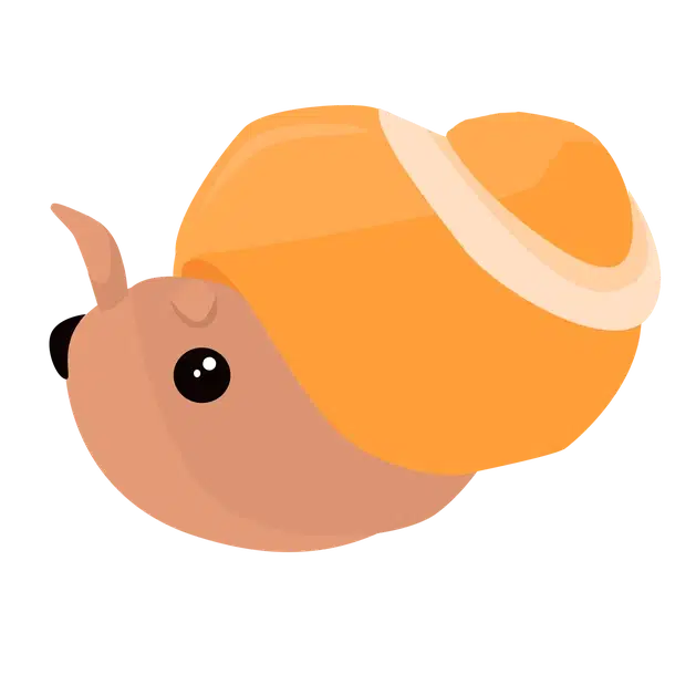 Trapdoor Snail