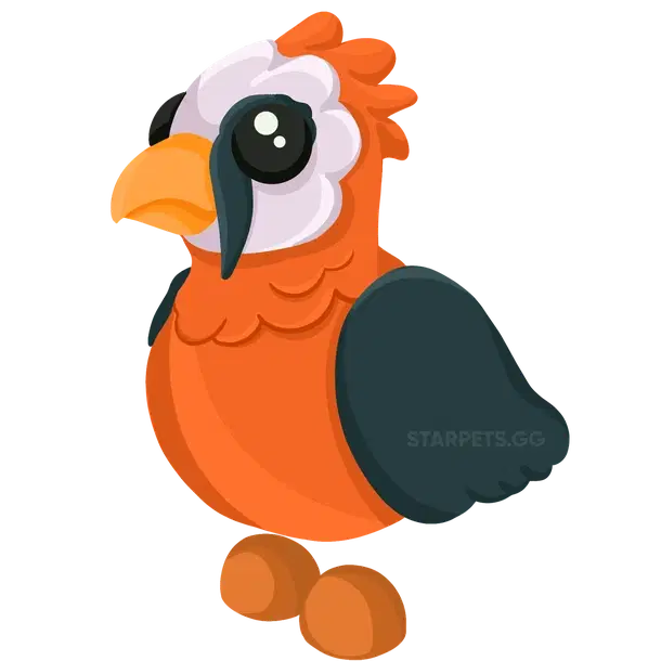 Lammergeier