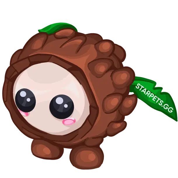 Coconut Friend
