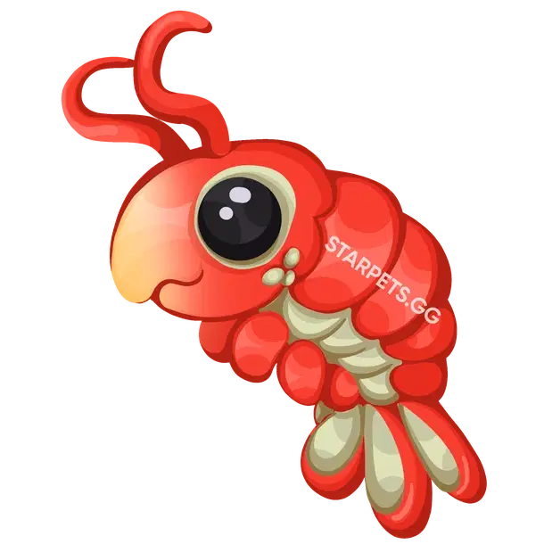 Emperor Shrimp