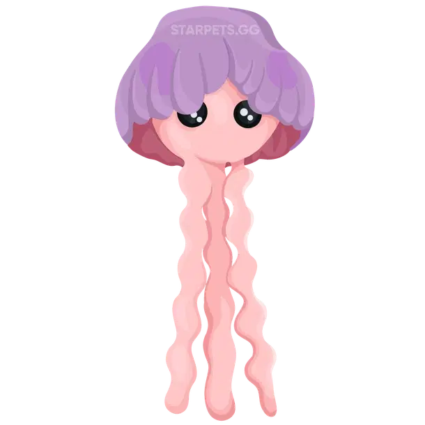 Jellyfish