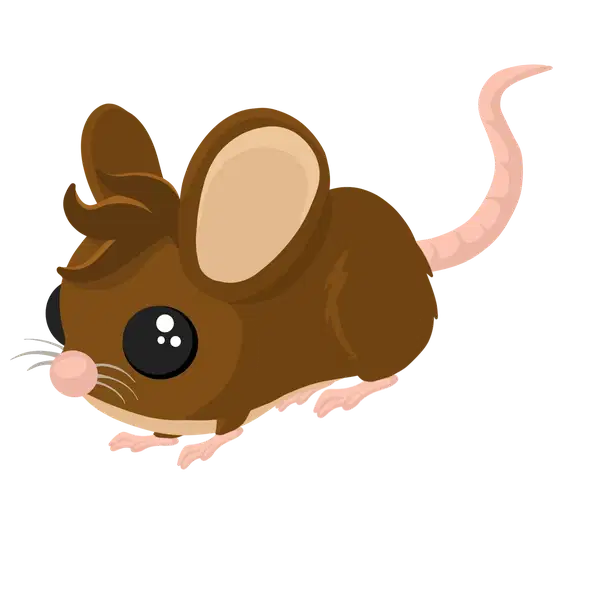 Field Mouse