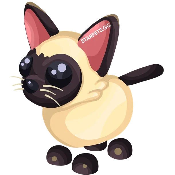 Siamese Cat