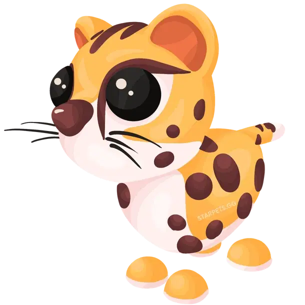 Cheetah