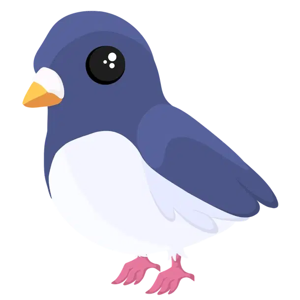 Wood Pigeon