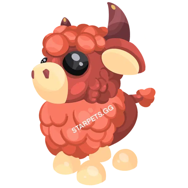 Angus Bull