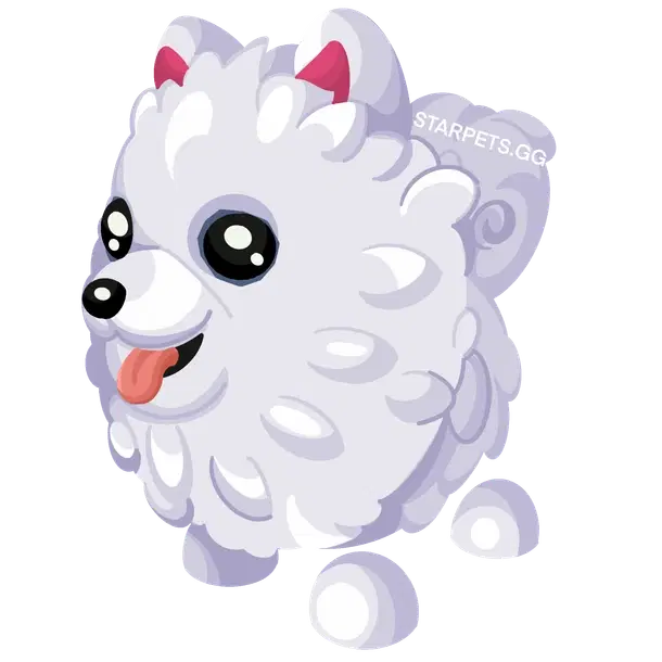 Samoyed
