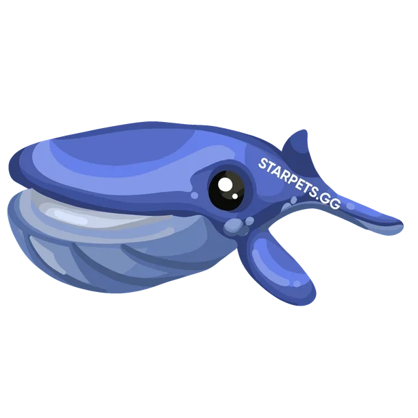 Blue Whale