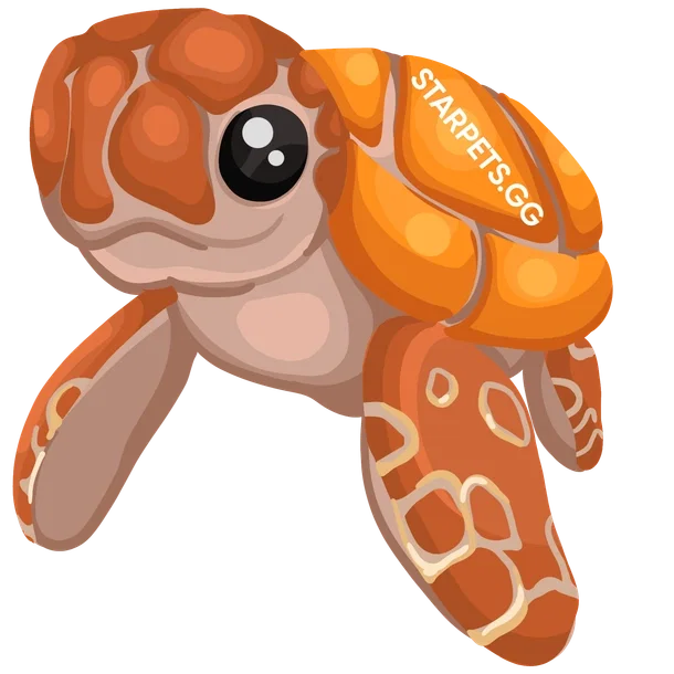 Sea Turtle